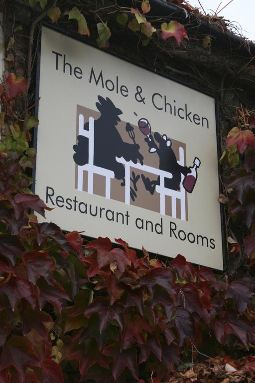 Hotel The Mole And Chicken Long Crendon Pokoj fotografie